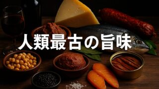 塩と発酵が生んだ保存文化──人類最古の“旨味の秘密”
